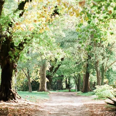 D'hotes Chateau Beaupre 3* Saint-Laurent-des-Arbres